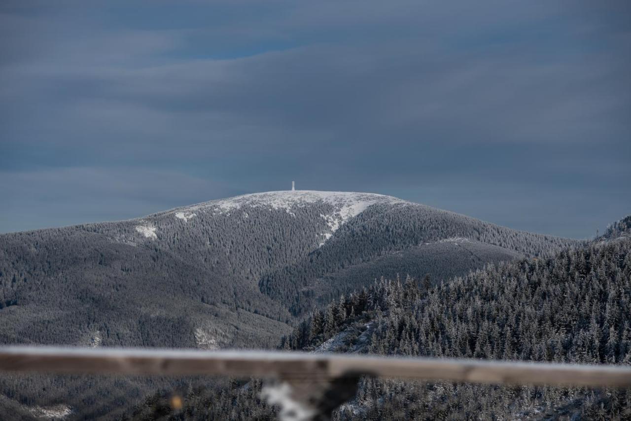 Apartman Pod Sneznikem Dolní Morava Buitenkant foto